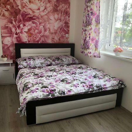 Apartman Na Lukach - Kopretina Trebon Ngoại thất bức ảnh